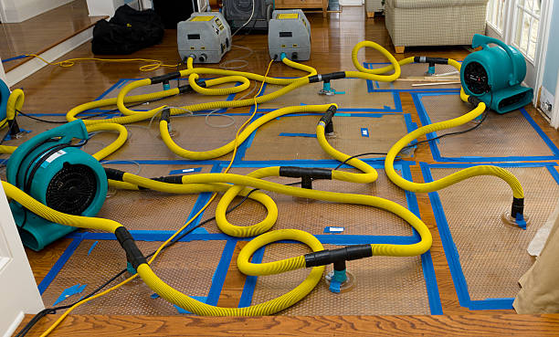 Professional Storm Water Damage Restoration technician working in Wendover, UT